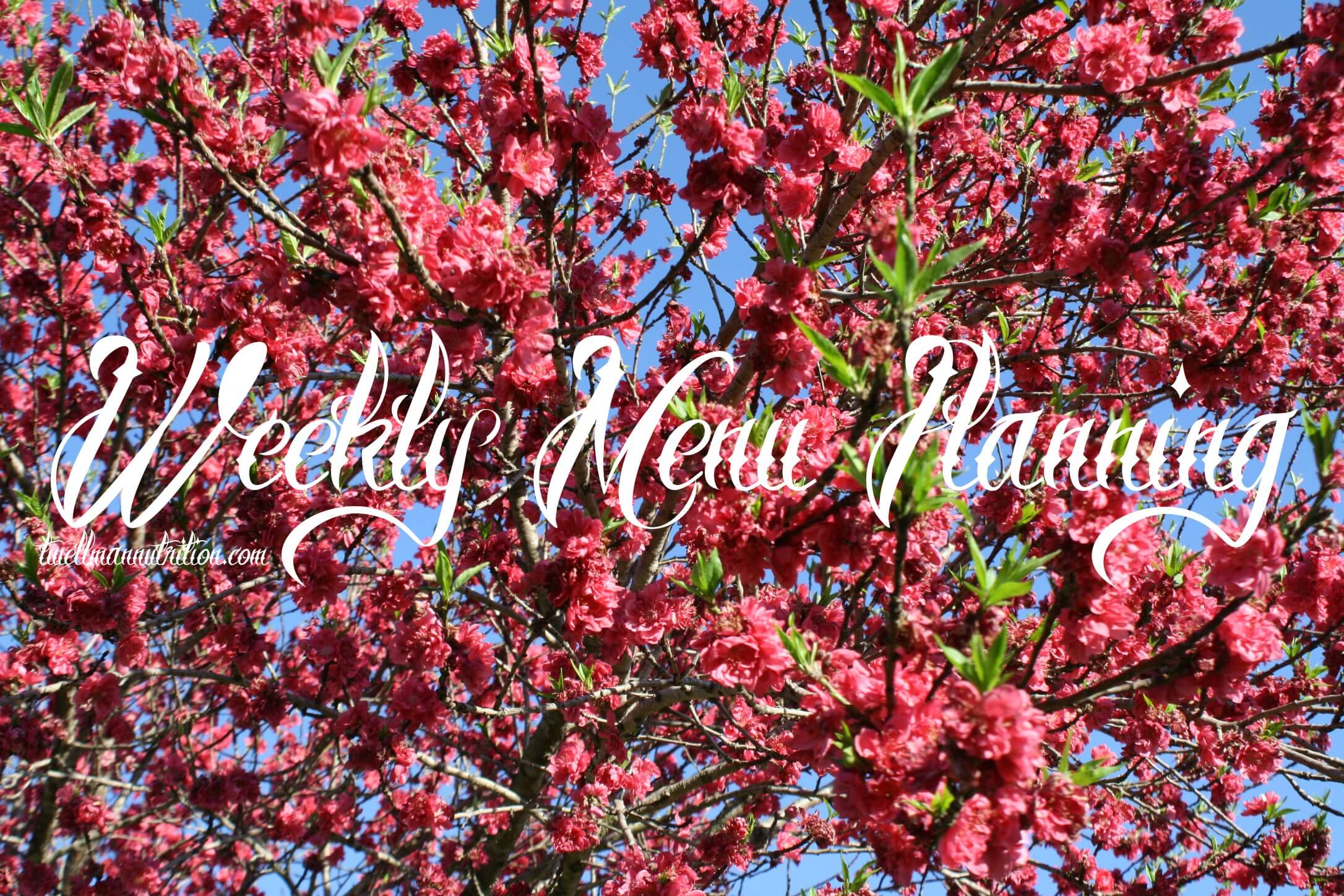 weekly-menu-planning-spring-flowers-sana-nutrition-and-wellness