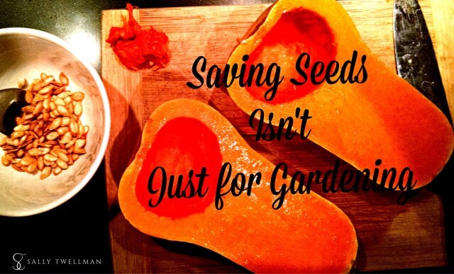 saving-seeds-640x387