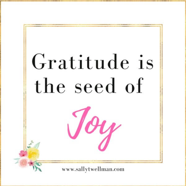 Gratitude is the seed of joy