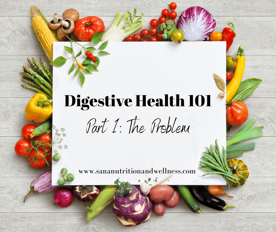 Digestive Health 101 Part 1 The Problem