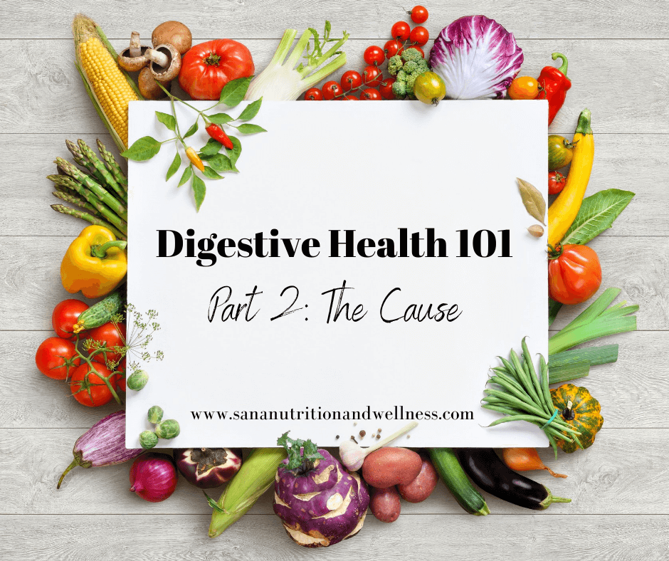 Digestive Health 101 Part 2 The Cause