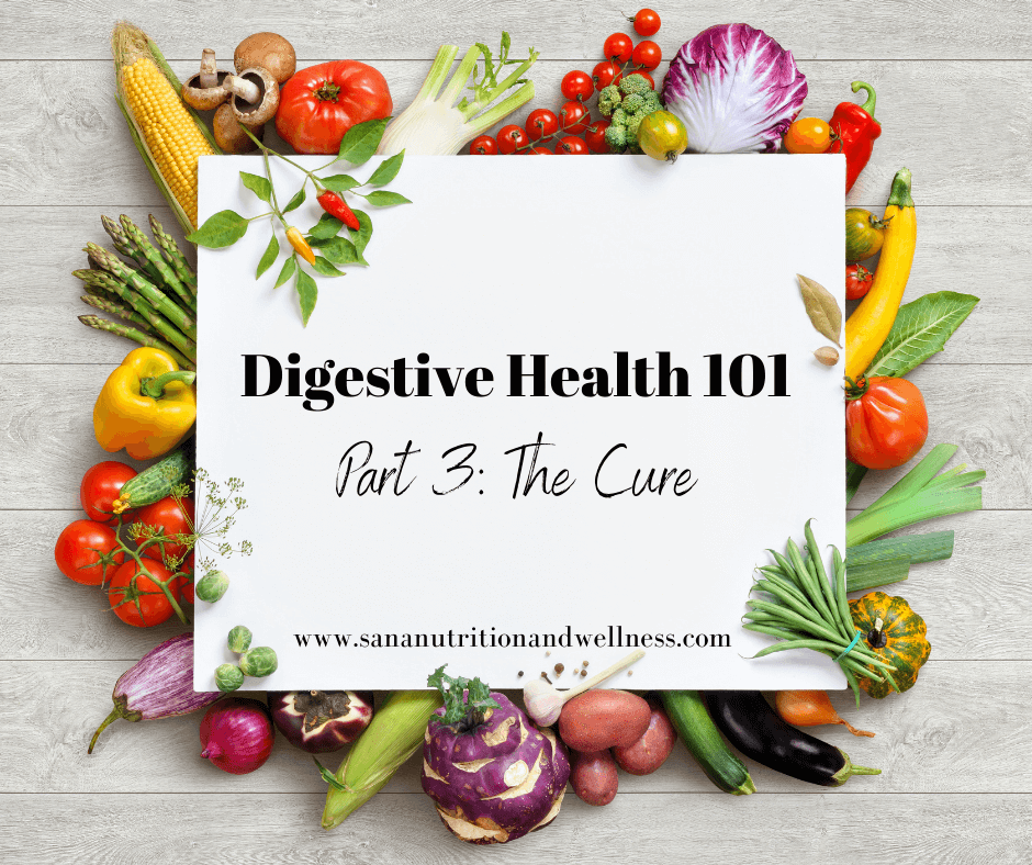 Digestive Health 101 Part 3 The Cure
